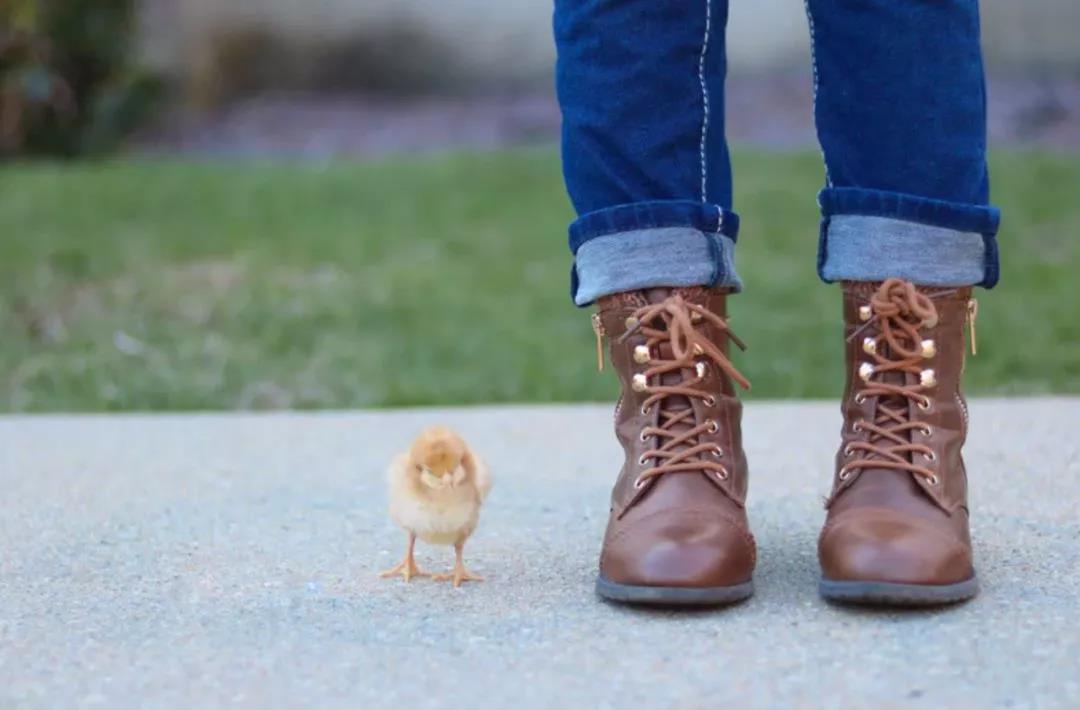 男孩子缺少阳刚应该如何引导,男孩怎么养比较健康