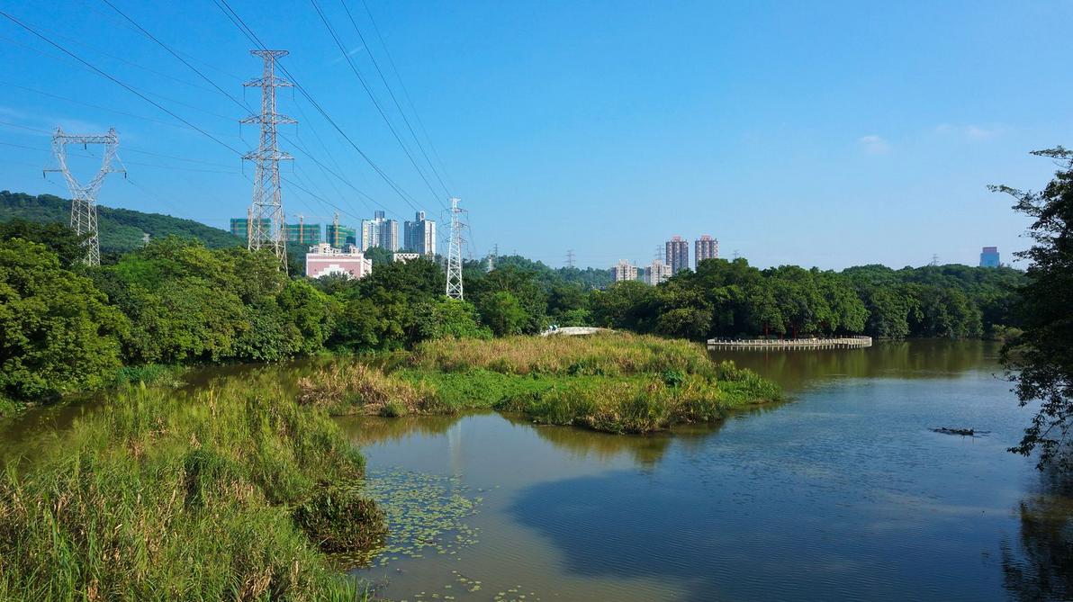 深圳钓鱼免费地点推荐,深圳10个免费钓鱼的好地方