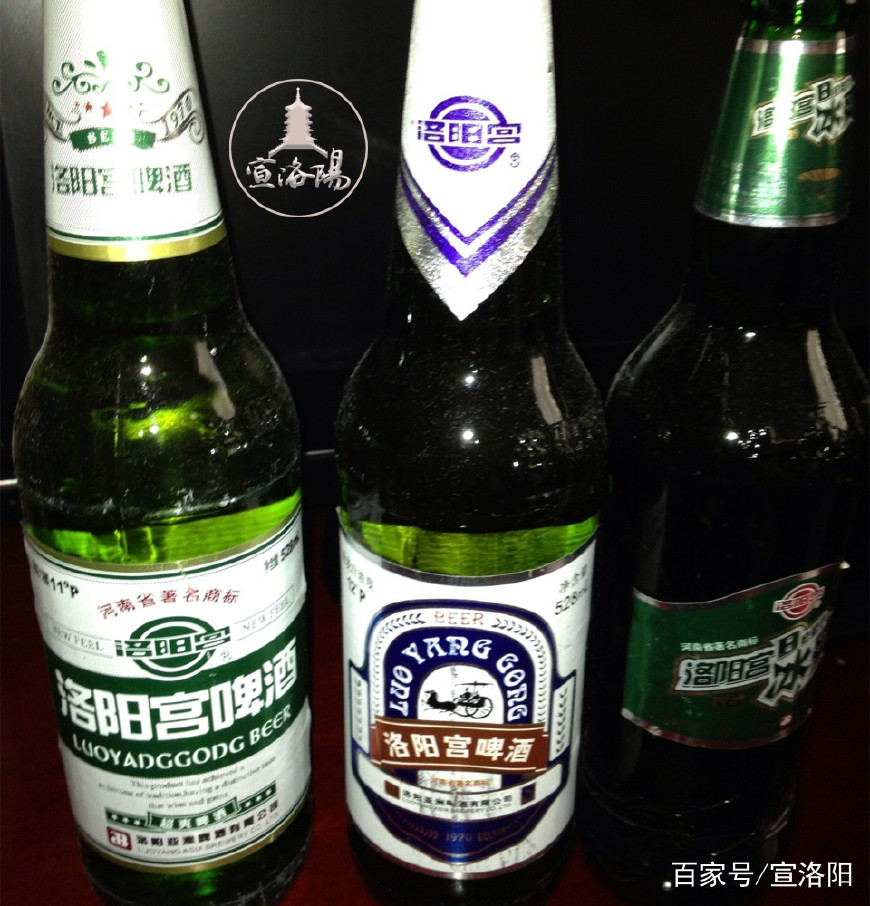 洛阳人都知道的“夺命11度”,自己却被夺了命!