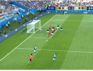 世界杯足球场草皮是真是假,为什么足球场草坪颜色不一样