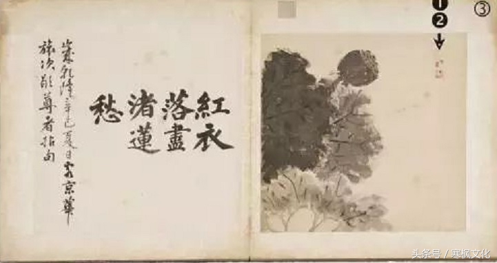 曹雪芹的书法作品欣赏,曹雪芹硬笔书法欣赏