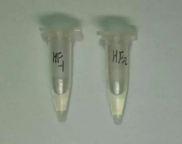 毒品预防最新消息,国家禁毒办权威发布毒品基本知识