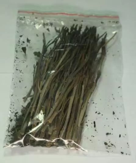 毒品预防最新消息,国家禁毒办权威发布毒品基本知识