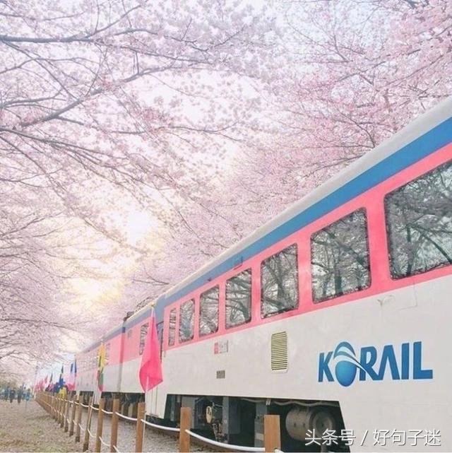 失恋伤感句子句句心痛,深爱过的人才能感同身受!