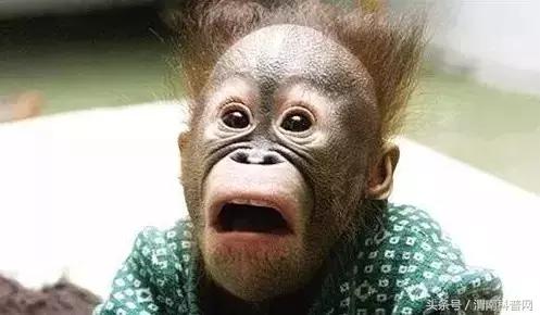 反反复复口腔溃疡如何彻底治愈,长期反反复复口腔溃疡怎么办