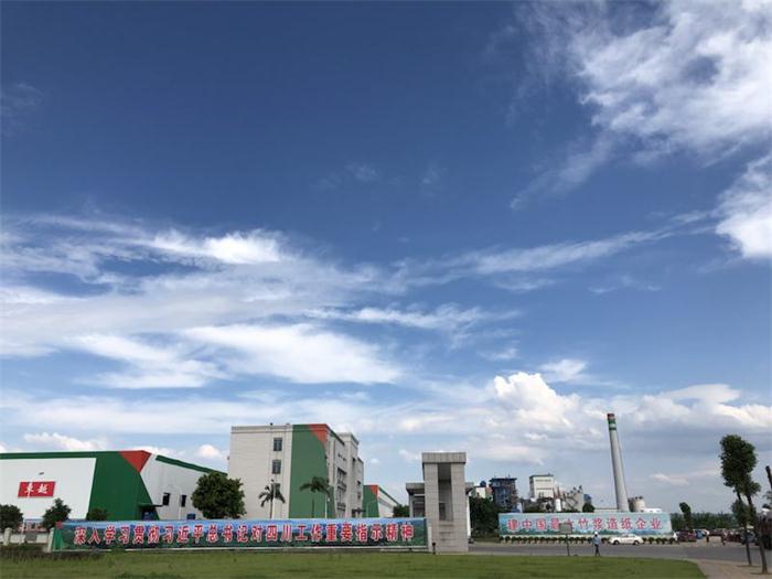 四川竹产业如何高质量发展,四川竹浆纸