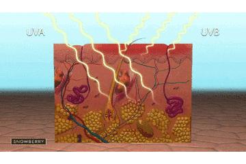 防晒科普,防晒简介