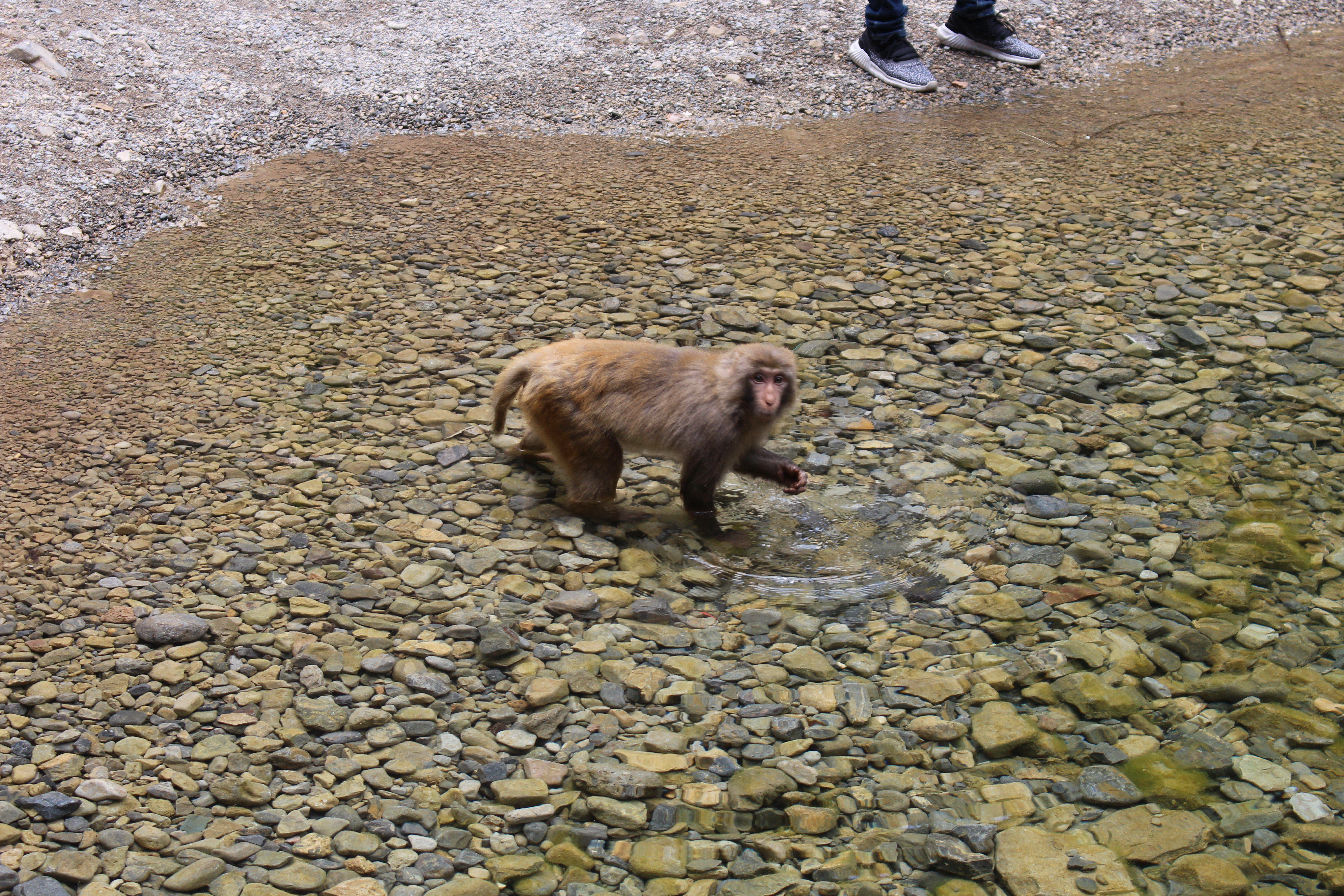 黄果树大瀑布河南,河南焦作黄果树瀑布