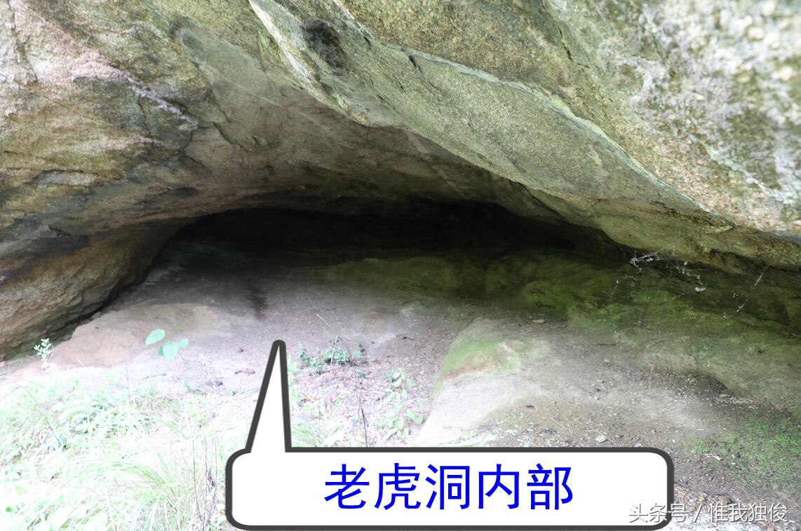 随州太白顶风景区简介视频,发现之旅神农架野人之谜