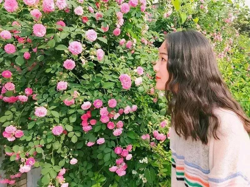 考不上高中南京什么学校最合适,高考400分可以上南京哪些大学