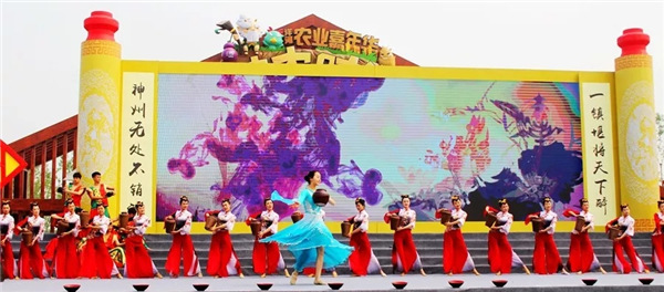 农村农业种植业哪种能赚钱,2021年十大农业赚钱模式盘点