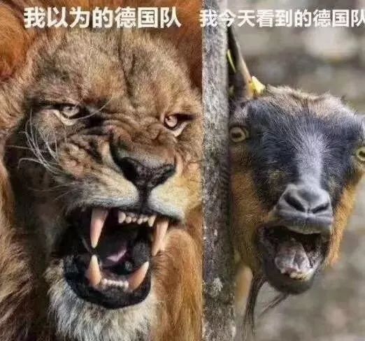 德国队逆境爆发,德国队走出低谷期了吗