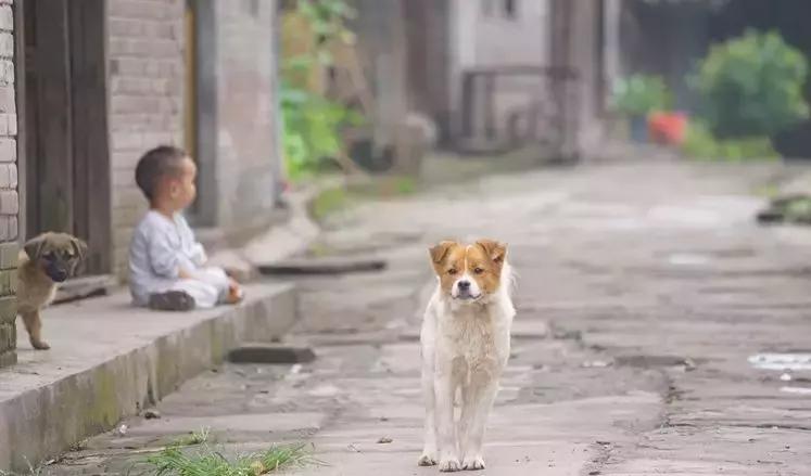 乐山周边竟有这样一个神秘古镇？连历史记载都没有，周末约~