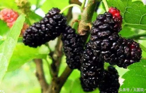 中草药美白祛斑防晒霜,防晒霜祛斑方法