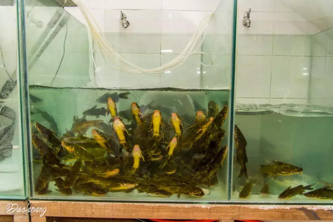 在弥勒吃什么,在弥勒什么小吃最好吃