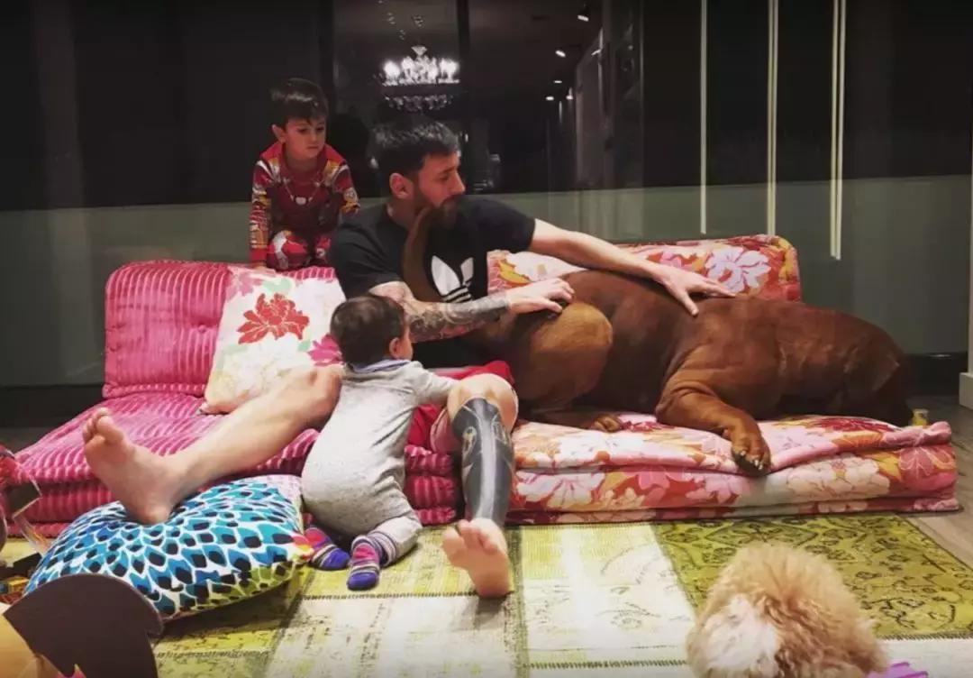 热辣辣的温度，火辣辣的世界杯，热点球星们的豪宅到底有多壕？