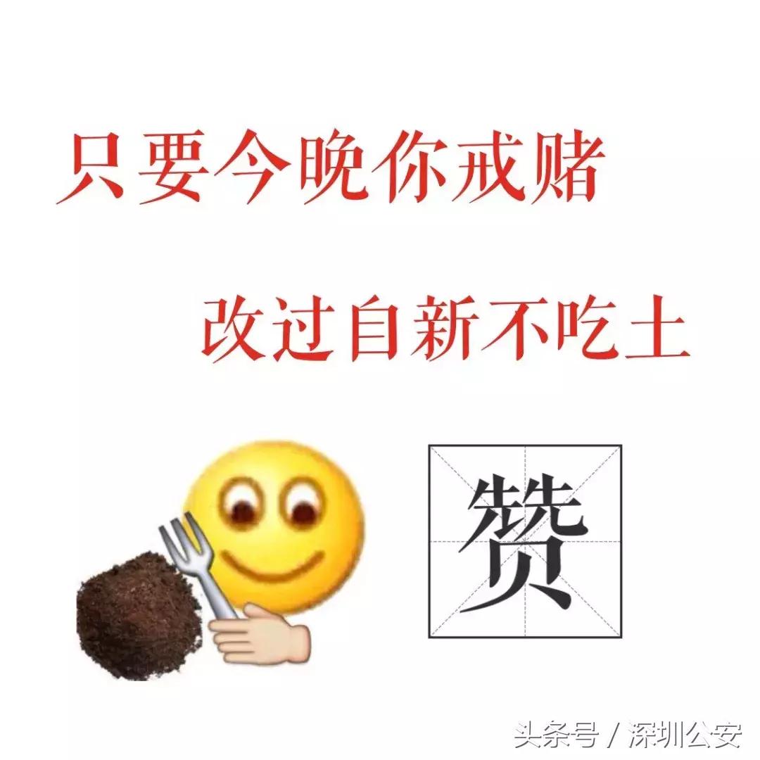 赌球2000千万的新闻,500亿赌球案