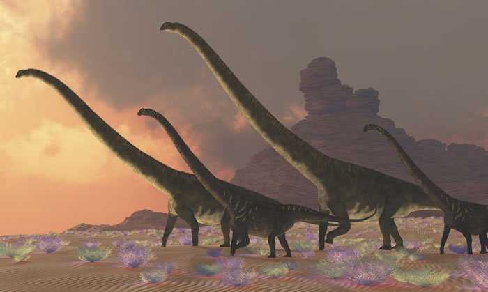 哪个恐龙最厉害不会灭绝呢,恐龙的主要特征是巨大吗