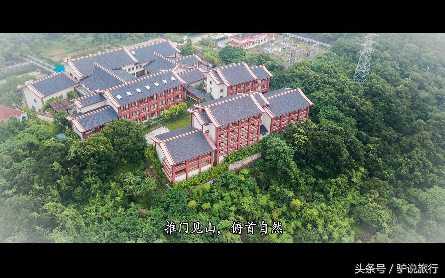 王家卫浙江舟山,王家卫来过浙江台州吗