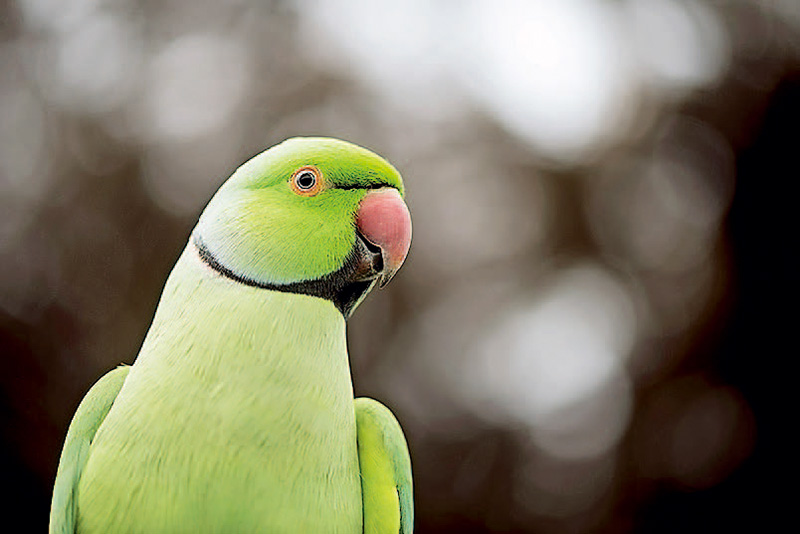 单反相机快速入门,单反相机入门购买