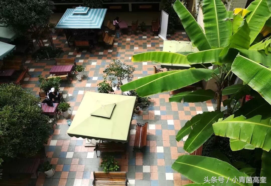 美丽的云南师范大学,美丽的云南曲靖