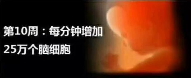 养出漂亮宝宝,养出聪明娃的技巧