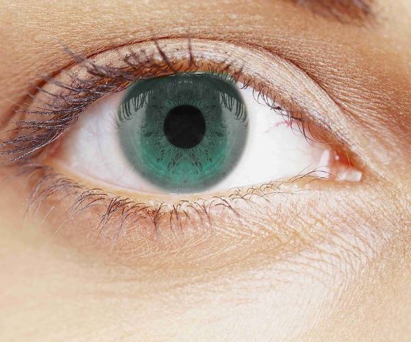 心理测试最喜欢的人,心理测试你第一眼喜欢哪个花