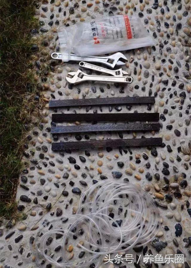 锦鲤鱼缸团灭后重新开缸,锦鲤遭团灭