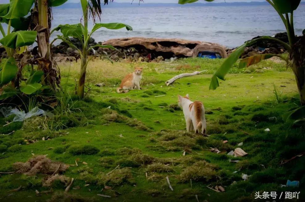 世界杯进球最多的国家是哪国,世界杯进球最多的国家是哪个国家