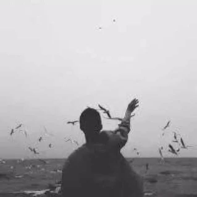 直供瓷器哪里最便宜 (直供瓷器)