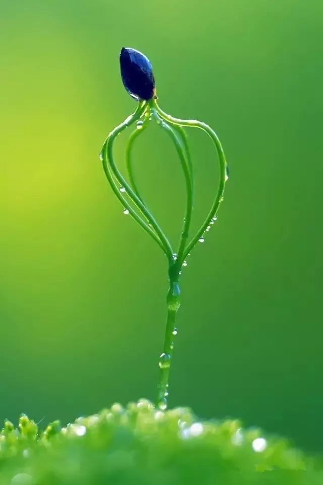 微信聊天护眼背景图高清大图,护眼背景图微信聊天背景