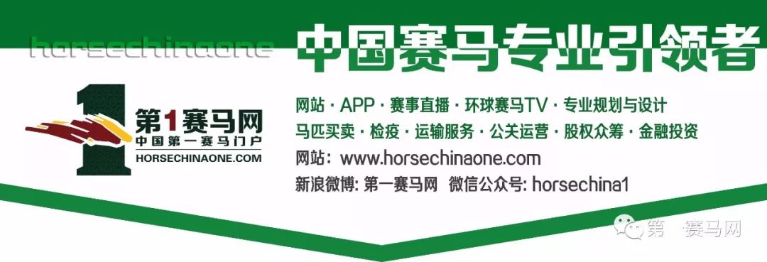 彼德讲马：代购彩票全靠信任勇进神驹状态大勇