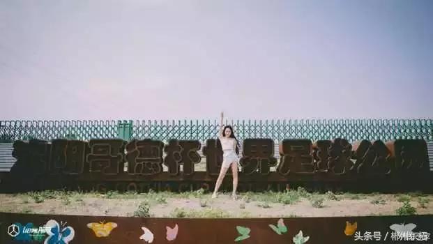 世界杯深度解析比利时,世界杯探球