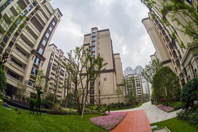 开启诗和远方,龙湖三千庭三居室