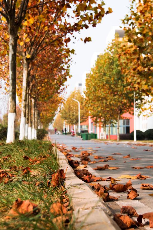 这是一个学校英语怎么写,填空题这是一个什么什么的湖