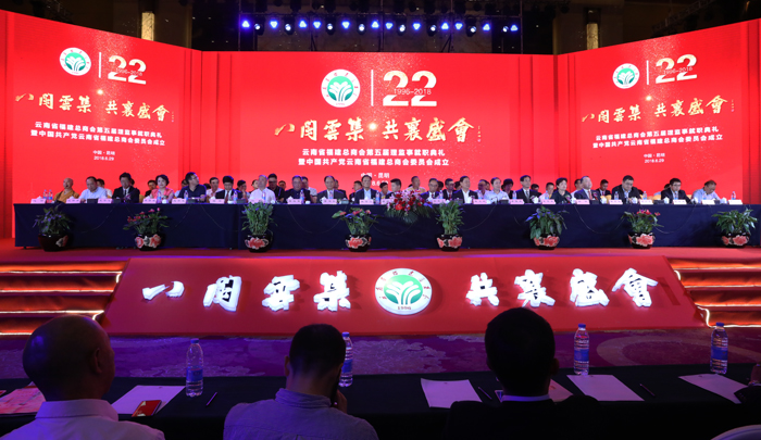 谢国华福建商会会长身价多少,云南谢国华商会会长简介