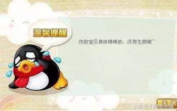 QQ宠物将停运曾经想弄死它现在想它永远不要离去!