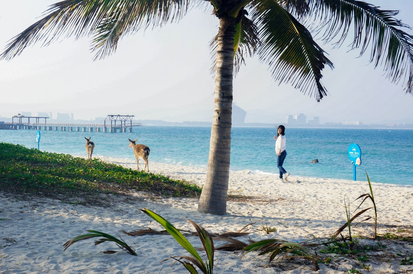 五天四晚三亚情侣攻略,三亚四天攻略