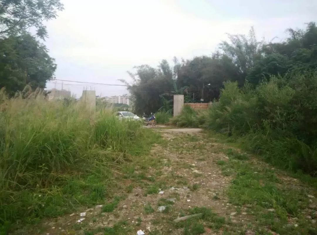 梅州出租房200平米,梅州出租房59套