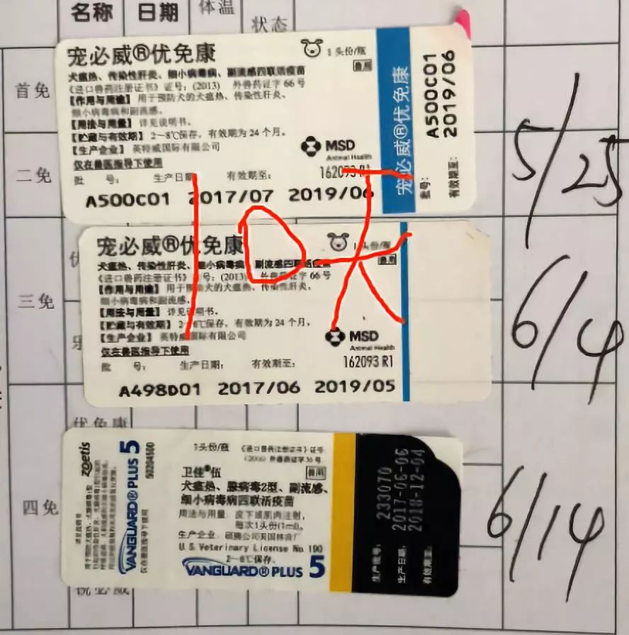 打完三针疫苗的拉布拉多,幼犬三针疫苗里面有没有细小疫苗