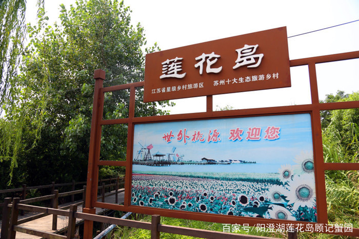 阳澄湖大闸蟹怎么能买上正宗的,去阳澄湖吃大闸蟹实用攻略信息