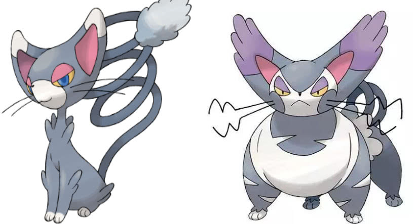 五只神奇宝贝一起出现,五只最可爱的神奇宝贝