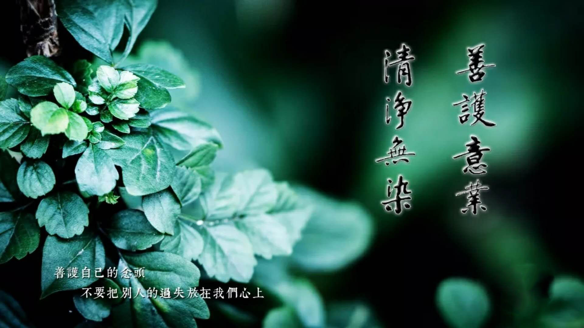 工作中为什么总是老实人吃亏,为什么在工作中要保持正直