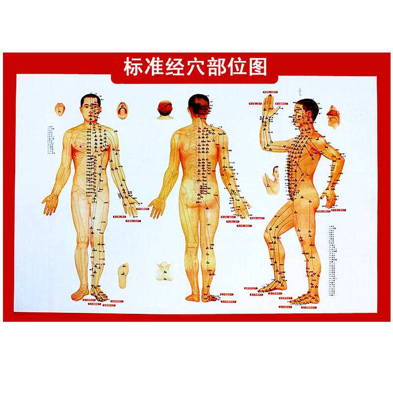 穴位的搭配运用法则,最全的穴位奇效歌诀