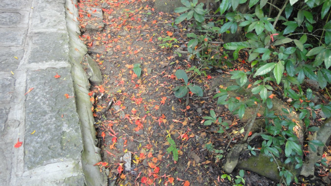 sanya天之涯，海之角我们来了