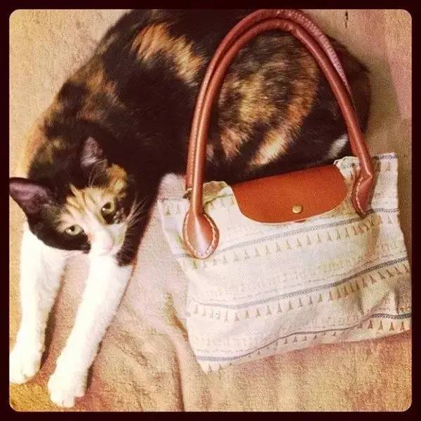 重新思考价值,怎么提升自己对奢侈品的认知度