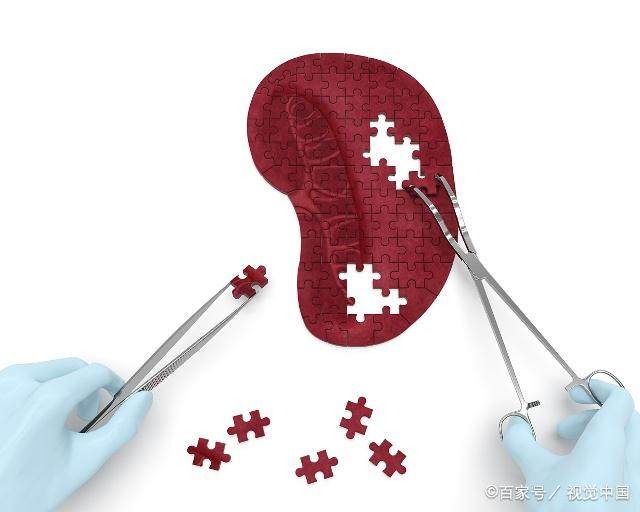 脾肾阳虚的高血脂,高血脂与肝郁脾虚