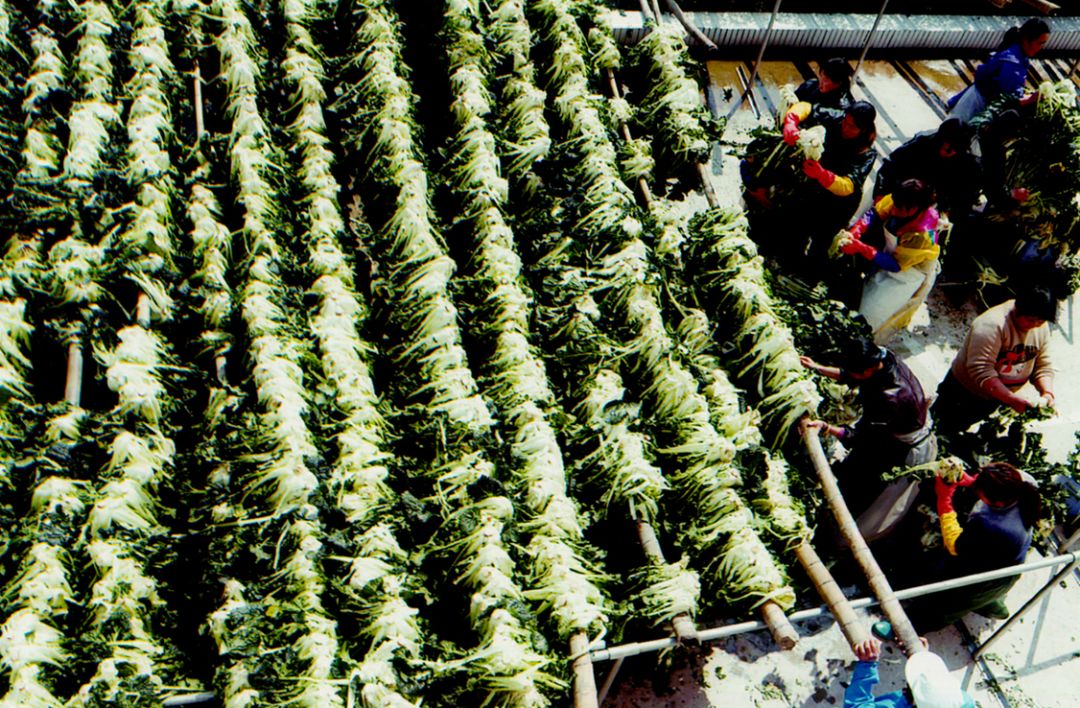 鄱阳春不老，那是乡愁的味道