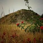 墨西哥雄鹰,墨西哥玛雅文明旅行