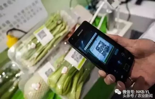 互联网农业是怎么做的视频,互联网农业创业技巧大全